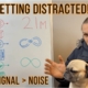 Stop Getting Distracted! Pug Life! | Hashpower Academy